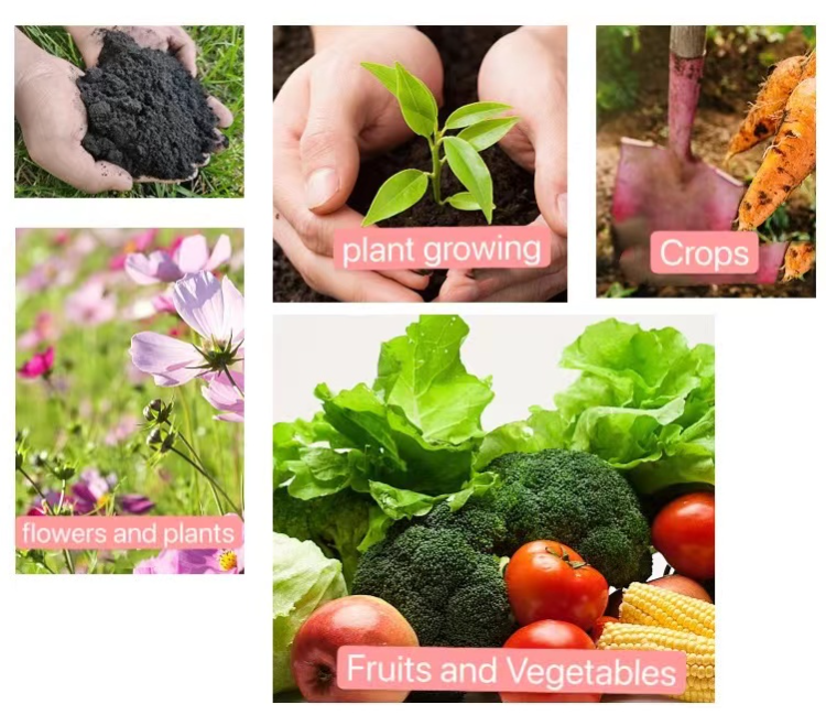 Buy China Wholesale Factory Outlet Humic Acid Plus Amino Acid With Npk ...