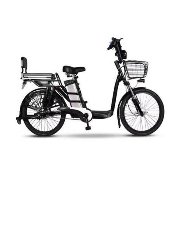Adulto bicicleta eléctrica con batería de plomo ácido bicicleta eléctrica  Ebike con pantalla LCD para adultos - China Bicicleta eléctrica, moto