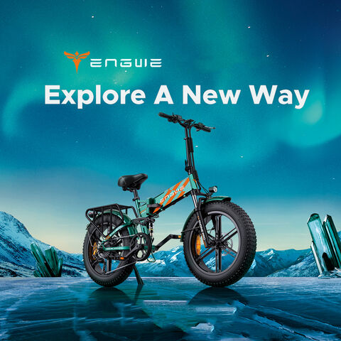 Fabricante Bicicleta Elétrica ebike com Motor Brushless de 750W, Bicicleta Elétrica com Pneu Gordo de 20 polegadas
