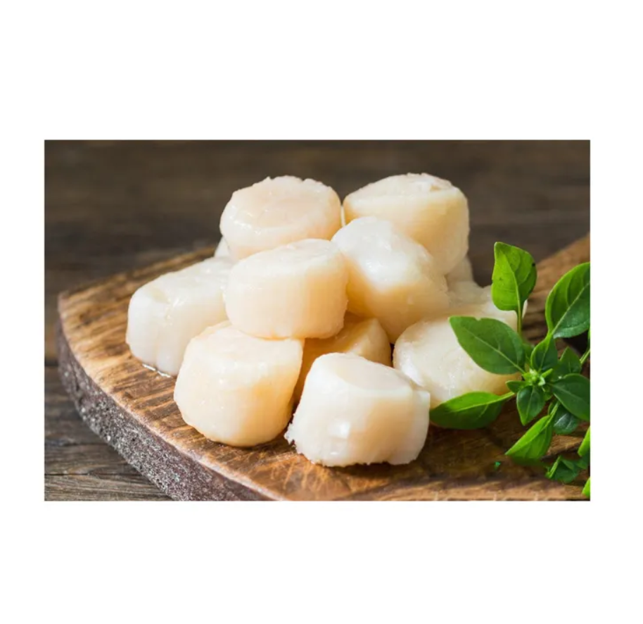 Buy Wholesale United States Best Different Sizes Scallop Meat Dried