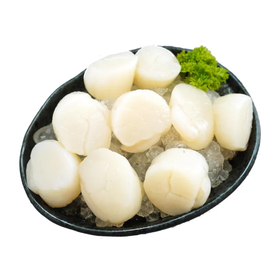 Buy Wholesale United States Best Different Sizes Scallop Meat Dried