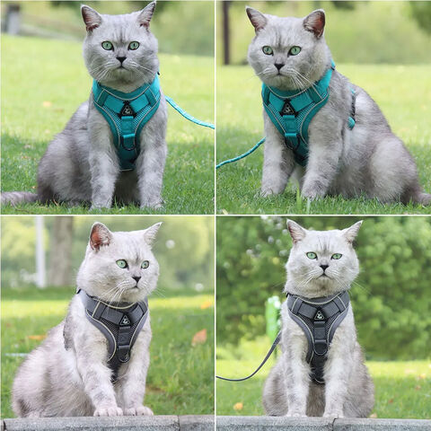 Hundegeschirr mit 1,5 m Zugleine Set, Kein Zug, Hundeweste, verstellbarer, reflektierender, atmungsaktiver Gurt für Hunde, Welpen und Katzen - Großhandel für Haustierbedarf