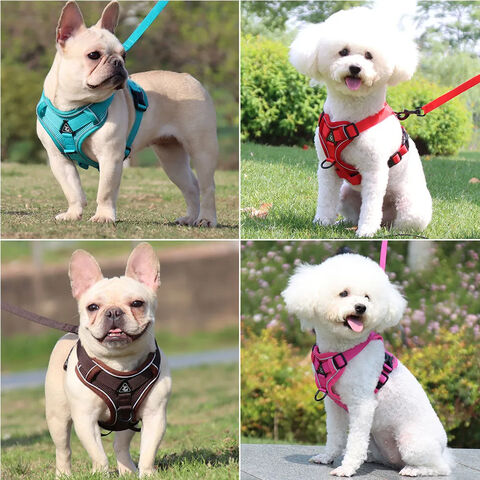 Hundegeschirr mit 1,5 m Zugleine Set, Kein Zug, Hundeweste, verstellbarer, reflektierender, atmungsaktiver Gurt für Hunde, Welpen und Katzen - Großhandel für Haustierbedarf