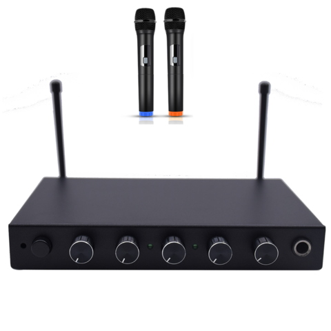 Buy Wholesale China Microfono Wireless Professionale, Microfono Senza Fili  Bluetooth Con 2 Microfoni Uhf Per Karaoke Festa,spettacolo, Bar, Riunione &  Karaoke Mixer at USD 29.5