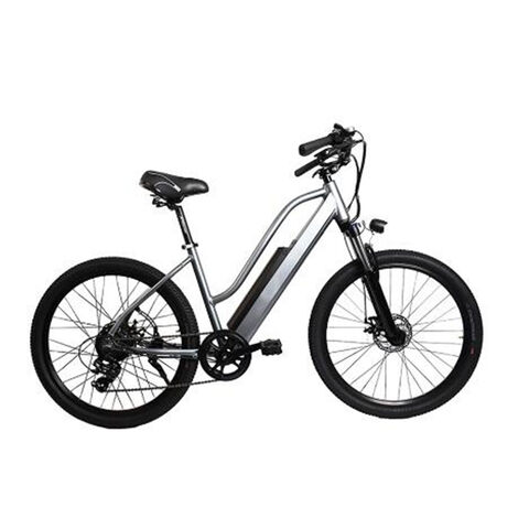 Pedelecs für den Stadtverkehr und Freizeitfahrten