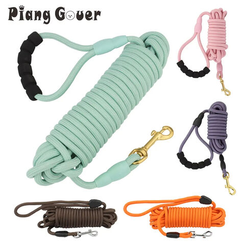 Laisse pour chien avec poignée rembourrée corde anti-traction pour chiens  de taille moyenne