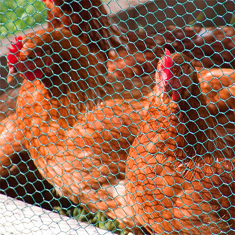 Wholesale Quality Wire Fence Floral Chicken Wire - China Hexagonal