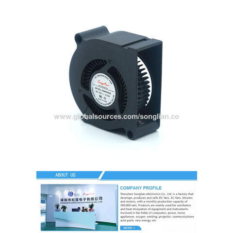 Achetez en gros Souffleur D'air Dc Ventilateur Dc Brushless Petite Circulation  D'air Dc Ventilateur Chine et Ventilateur De Refroidissement Brushless Dc  12v à 0.8 USD