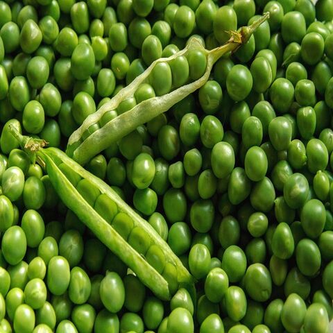 Guisantes secos verdes orgánicos de alta calidad, precio al por mayor, ingrediente saludable vegetal congelado