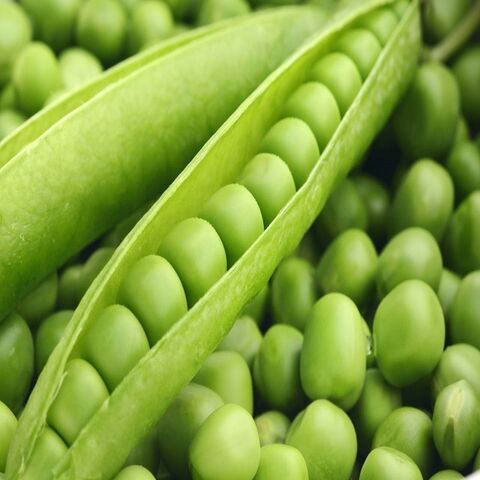 Guisantes secos verdes orgánicos de alta calidad, precio al por mayor, ingrediente saludable vegetal congelado
