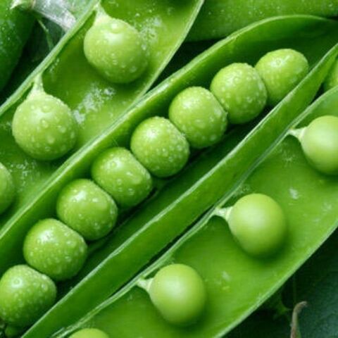 Guisantes secos verdes orgánicos de alta calidad, precio al por mayor, ingrediente saludable vegetal congelado