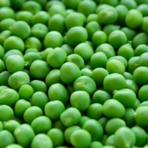 Guisantes secos verdes orgánicos de alta calidad, precio al por mayor, ingrediente saludable vegetal congelado