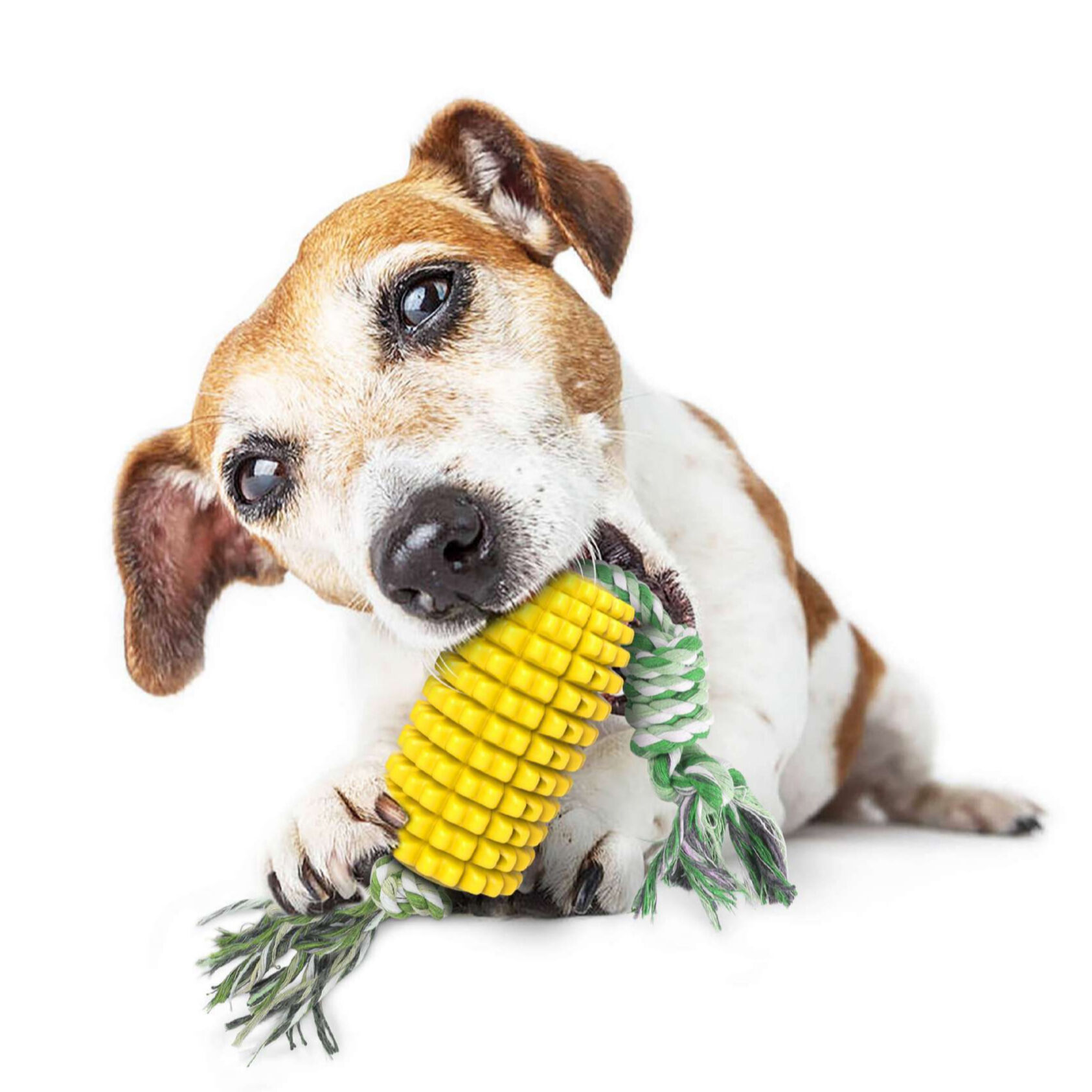 Buy Wholesale China Hot Sale Corn Shape Pet Chew Toy Interactive Dog ...