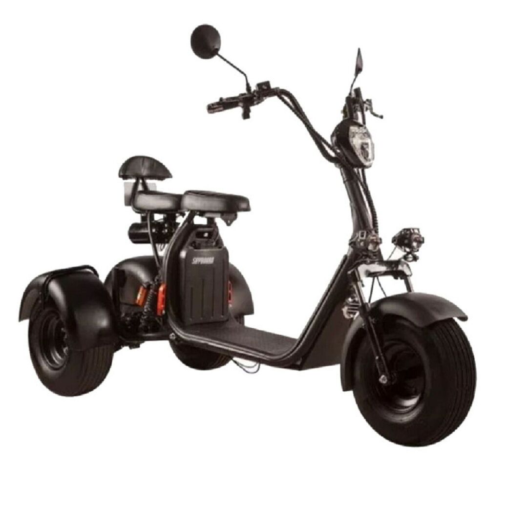 Electric 3 Wheel Electric Scooter City Coco 800w 1000w Seev Citycoco ...