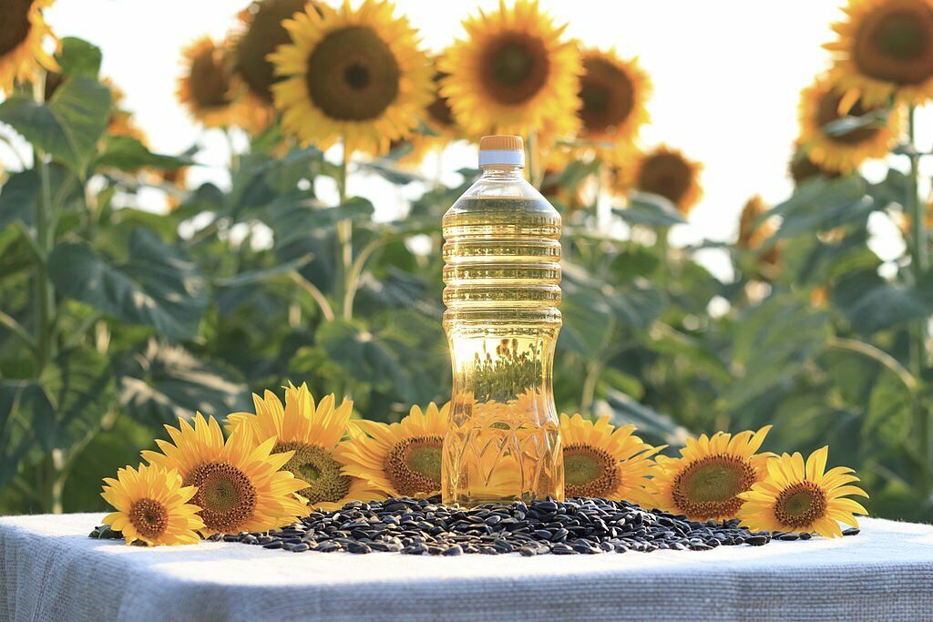 Buy Wholesale Czech Republic Cheap Refined Sunflower Oil / Pure