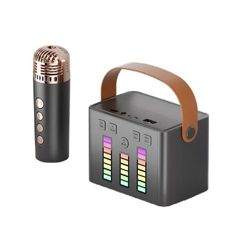 Set karaoké avec 2 Microphones sans fil, Partybox, Haut-parleur Bluetooth sans  fil