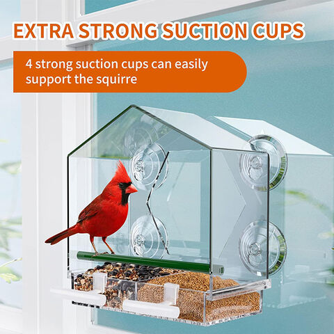 Clear Acrylic Window Bird Feeder Wild Bird Feeder Bird Feeder Hanging Bird  House Including Strong Suction Cups for Indoor Bird Watching Garden