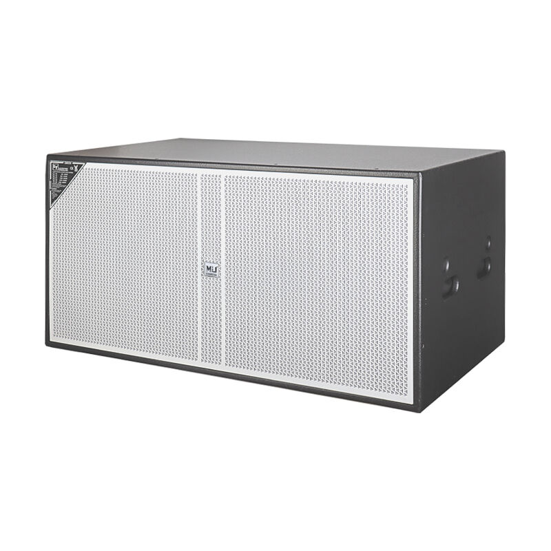 Buy Wholesale China Factory Outlet E-228 Dual 18