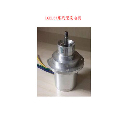 Buy Wholesale China Manufacturer Micro Dc Motor Sweeping Robot Motor  Audiovisual Equipment Small Motor Balancing Car Motor Electric Hair Clipper  Motor & Dc Motor at USD 11