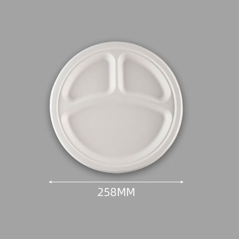 Wholesale Disposable Environmentally Friendly Packing Box Sugarcane