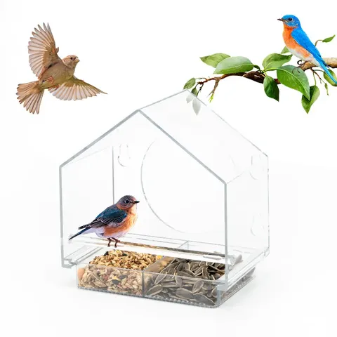 Mangeoire de fenêtre transparent pour oiseaux du jardin