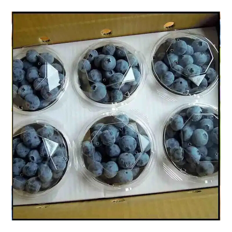 Buy Wholesale China Good Taste Iqf Fresh Blueberry Whole Frozen Fruits