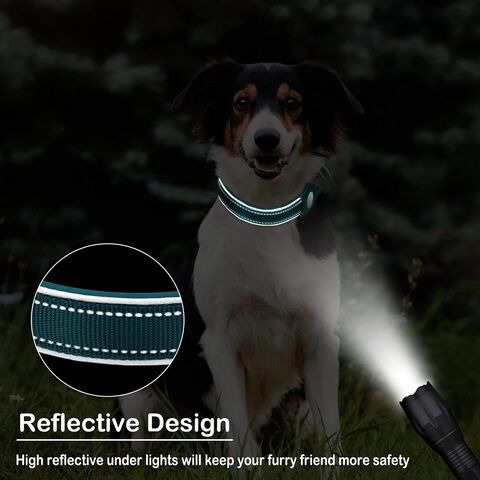 Comprar Collar Gps rastreador de mascotas para perros Tractive Gps  seguimiento de animales en tiempo Real IP67 localizador de perros  impermeable para perros medianos y grandes