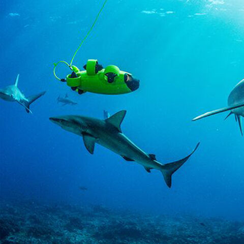 100m underwater fishing camera, 100m underwater fishing camera Suppliers  and Manufacturers at