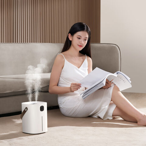 New Air Humidifier 2l Large Capacity Dual Nozzle With Lcd Temperature  Display Usb Aromatherapy Diffuser Exquisite Gift