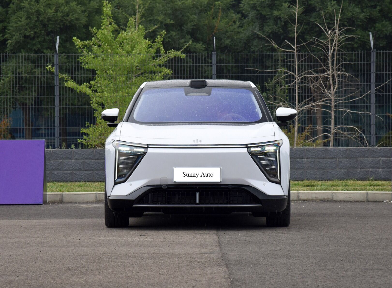 2023 Ev New Electric Car Used Hiphi X Y Z 810km Long 4 Wheel