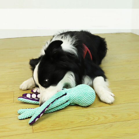 https://p.globalsources.com/IMAGES/PDT/B5987260157/pet-toy.jpg