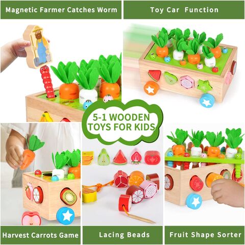 Juguetes Montessori para niños de 2, 3 y 4 años, juego de madera a juego y  cuentas de cordones para actividades de aprendizaje preescolar, habilidades