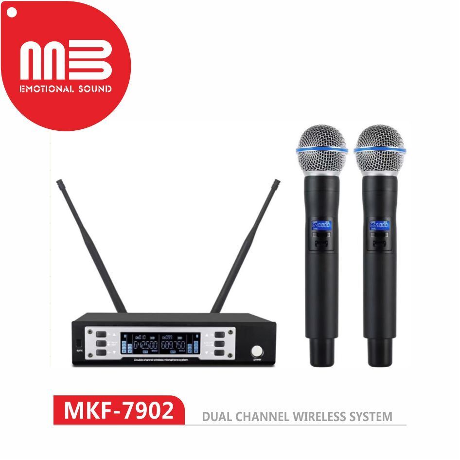 Système De Microphone Sans Fil Karaoké Micro VHF Double Canal