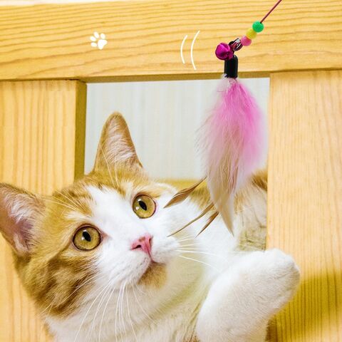 Compre Cat Teaser Teasing Stick Cat Toy Cat Fishing Pole Toy Com