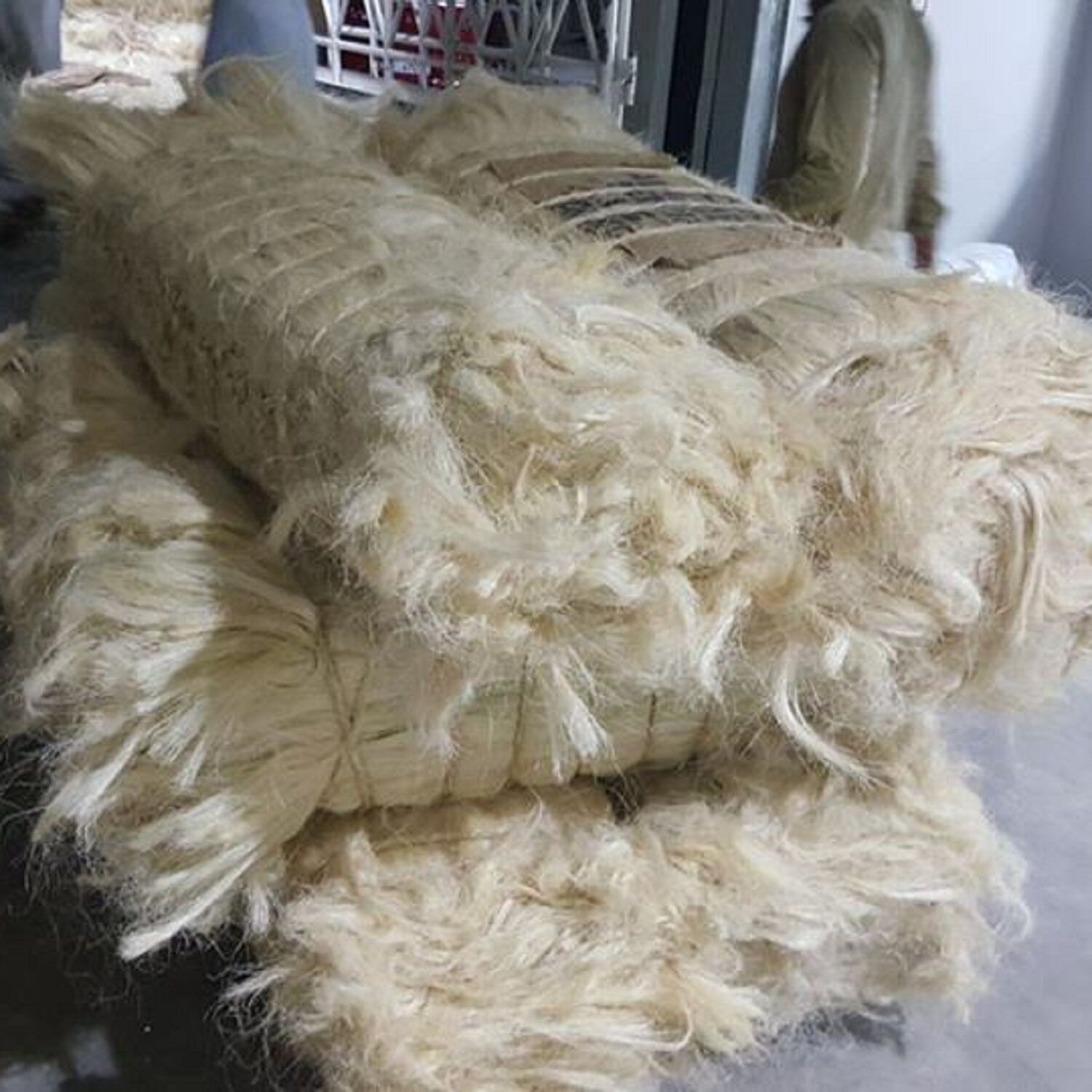 Source Raw Fiber UG SSUG Sisal Fiber High Grade UG Sisal Fiber sale