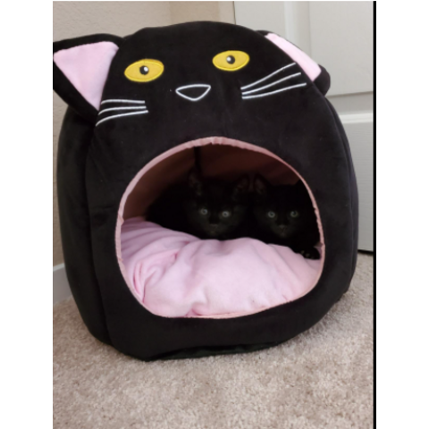 The Cozy Pet Carrier Small - Fur Cat's Sake