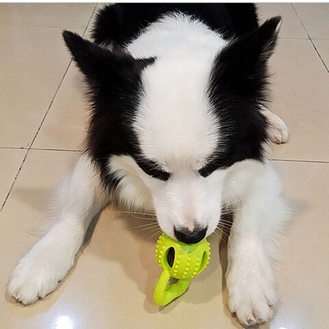 5-in-1 Hundespielzeug Set Für Welpen – Interaktives Puzzle, Leckerliball, Quietschball & Zahnpflege