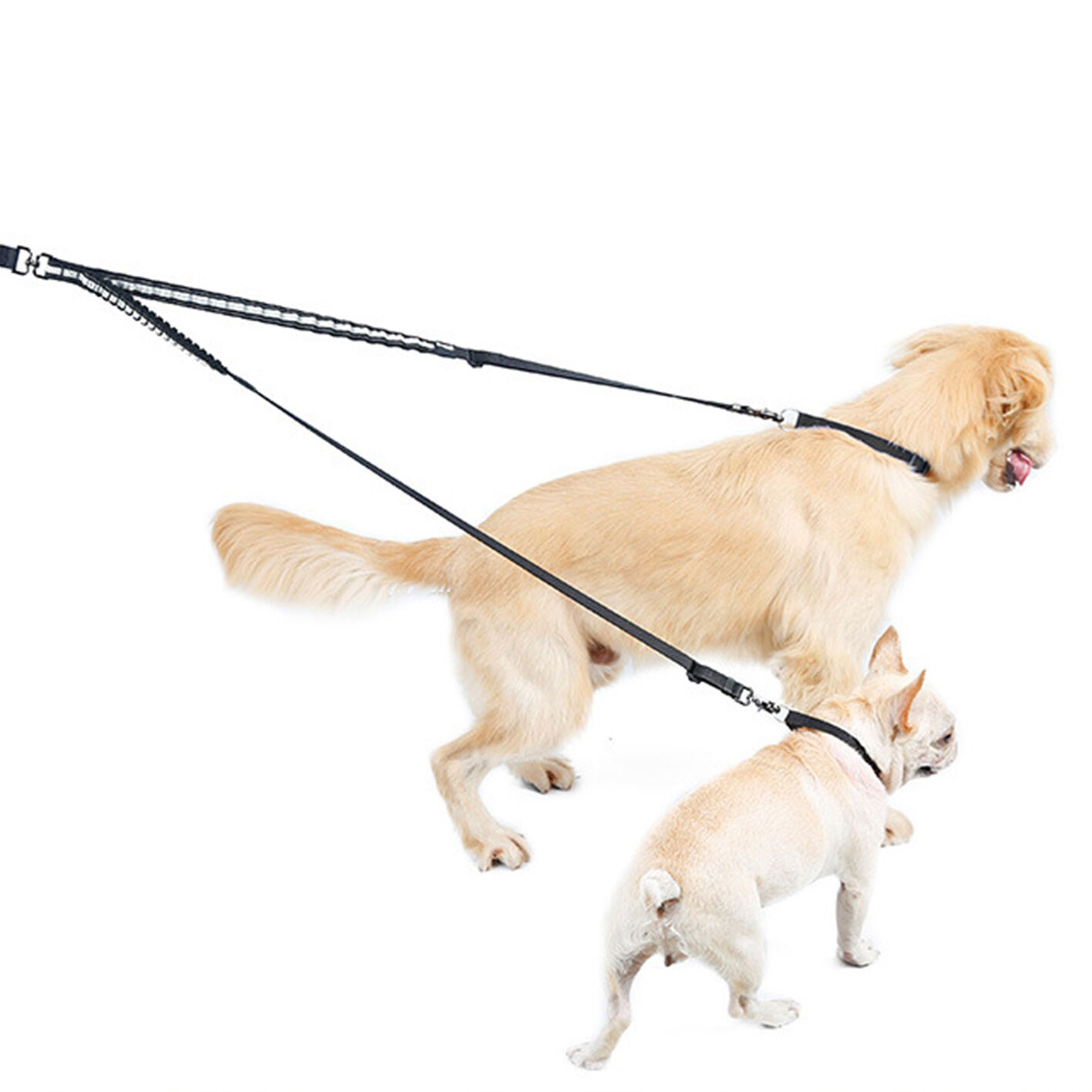 Dog Throw String Dog One Tow Two Elastic Dog Leash Explosion-proof Dash Double Lead ...