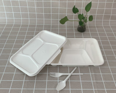 3/5 Compartment Bagasse Paper Pulp Food Tray Packaging Disposable Cont –  Fastfoodpak