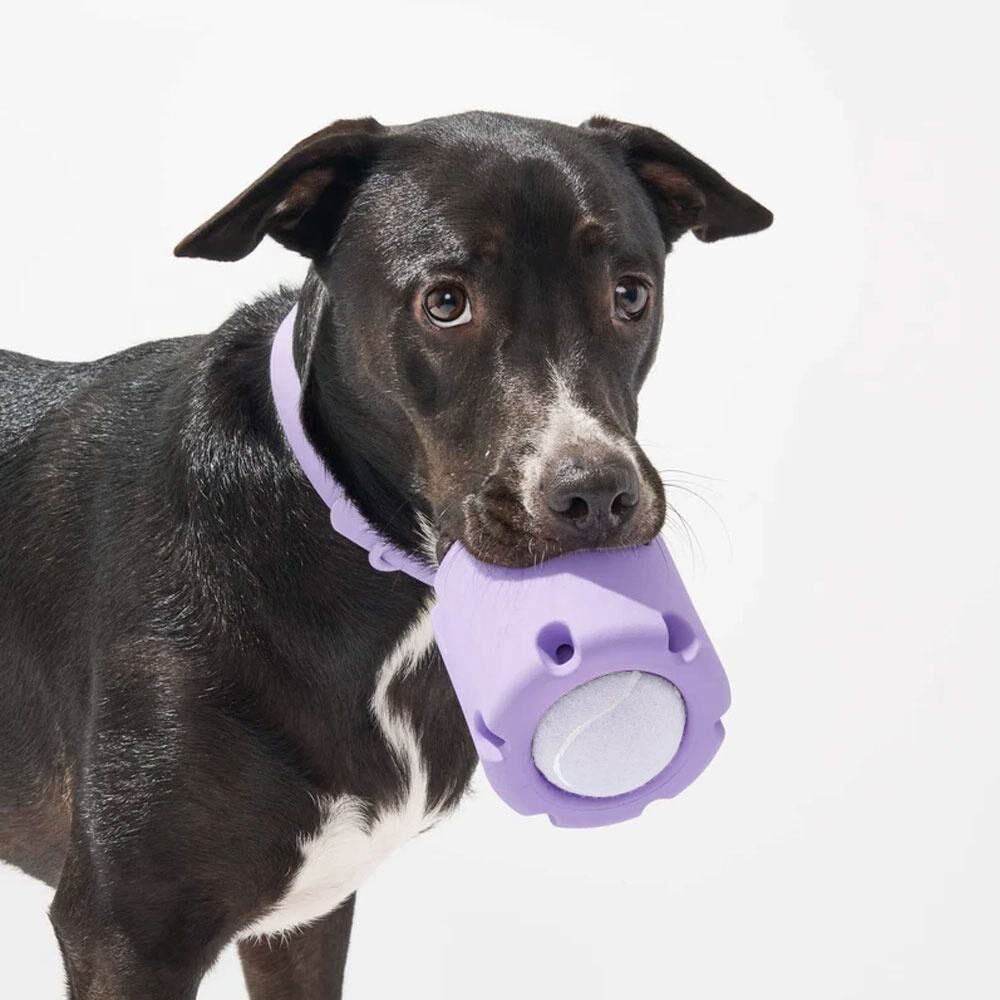 https://p.globalsources.com/IMAGES/PDT/B5989871781/Dog-Chew-Toy.jpg