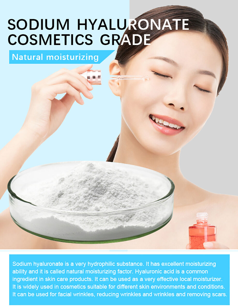 Factory Directly Supply Low Price Sodium Hyaluronic Acid Grade 99% ...