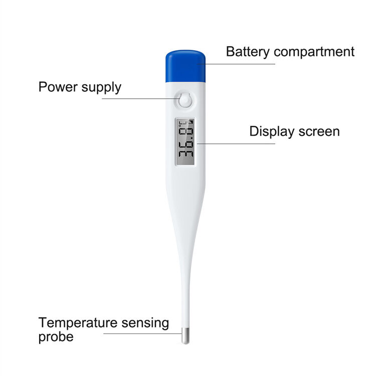 Buy Wholesale China China Supplier Manufacturer Customization Oral