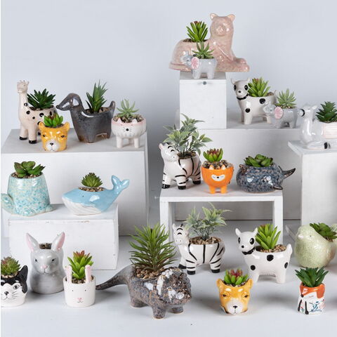 https://p.globalsources.com/IMAGES/PDT/B5990016117/planter-pots-ceramic-pots-succulent.jpg