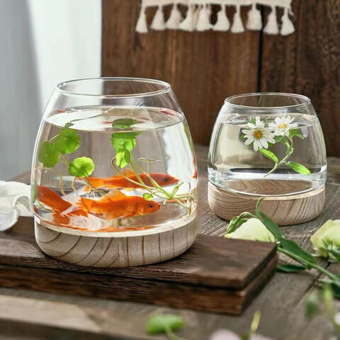 Jarrón de Vidrio Transparente Multiusos Original Nórdico Ins con Base de Madera, Contenedor Hidropónico, Mini Pecera Redonda para Decoración Interior