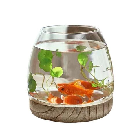 Jarrón de Vidrio Transparente Multiusos Original Nórdico Ins con Base de Madera, Contenedor Hidropónico, Mini Pecera Redonda para Decoración Interior