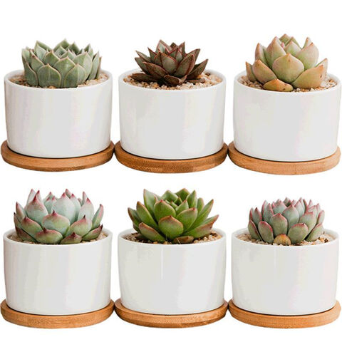 Customizable Cheap Wholesale Stackable Lazy Plastic Pot Natural Looking  Round Plastic Flower Pot Plant Pot Garden Planter Eco-Friendly Pots - China  Flower Pot and Plant Pot price