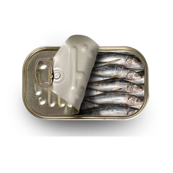 Wholesale Supplier Of Bulk Stock Of Canned Seafood Canned Sardine Fish