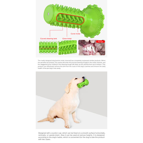 Juguete interactivo para perros, juguetes de bolas de limpieza de dientes  molares para perros, juguete para perros con cepillo de dientes esférico,  traje para perros pequeños, medianos y grandes