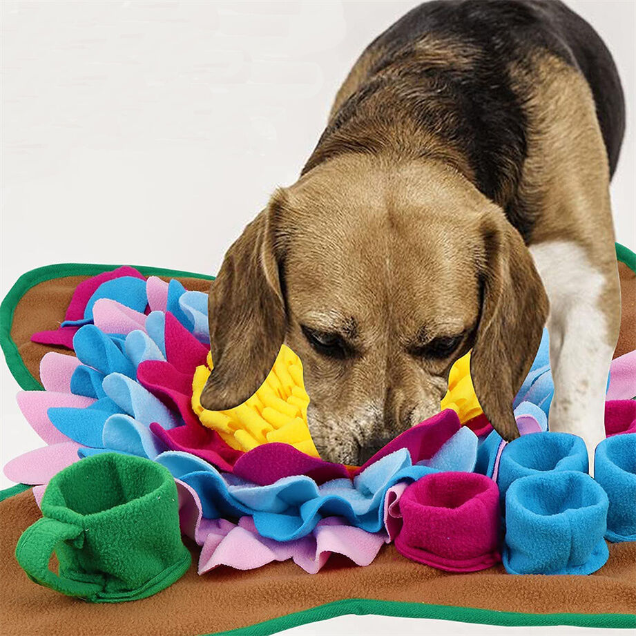 Buy Wholesale China Pet Puzzle Activity Mat Dog Treat Mat For