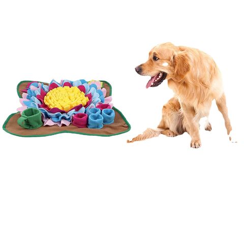 Dog Snuffle Mat Carrot Interactive Toy Pet Sniffing Feeding Smell Training  Pad